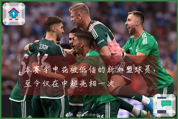 本赛季申花被低估的新加盟球员，至今仅在中超亮相一次